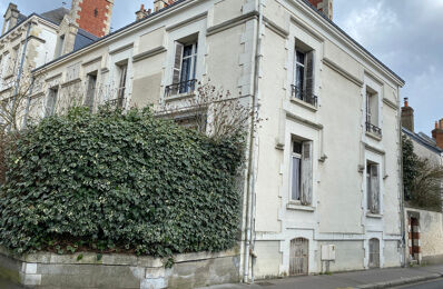 vente immeuble 495 000 € à proximité de Lussault-sur-Loire (37400)
