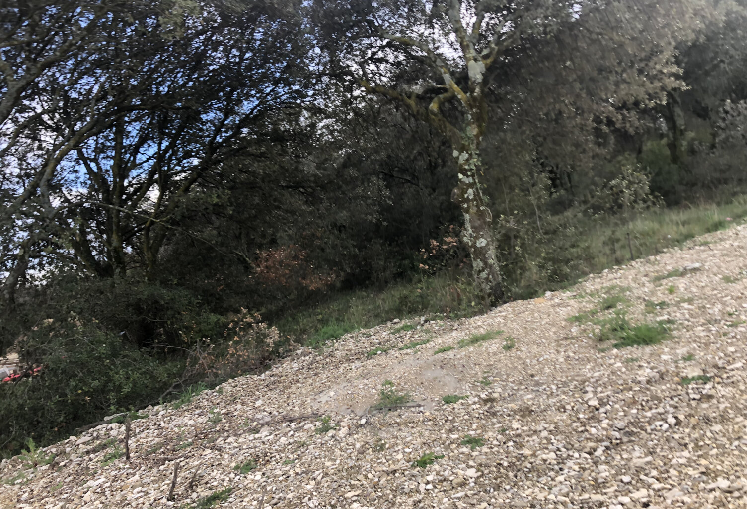 Terrain de 1700m2  à La Baume-De-Transit — photo 1