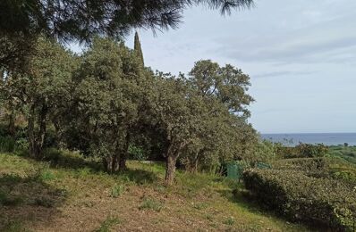 vente terrain 1 100 000 € à proximité de Sainte-Maxime (83120)