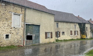 Photo N° 6