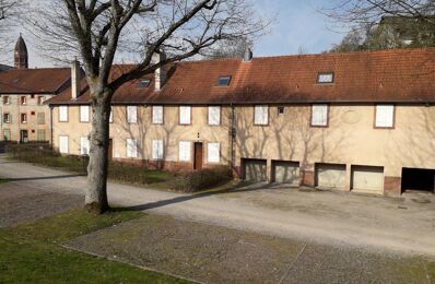 vente appartement 24 200 € à proximité de Wimmenau (67290)