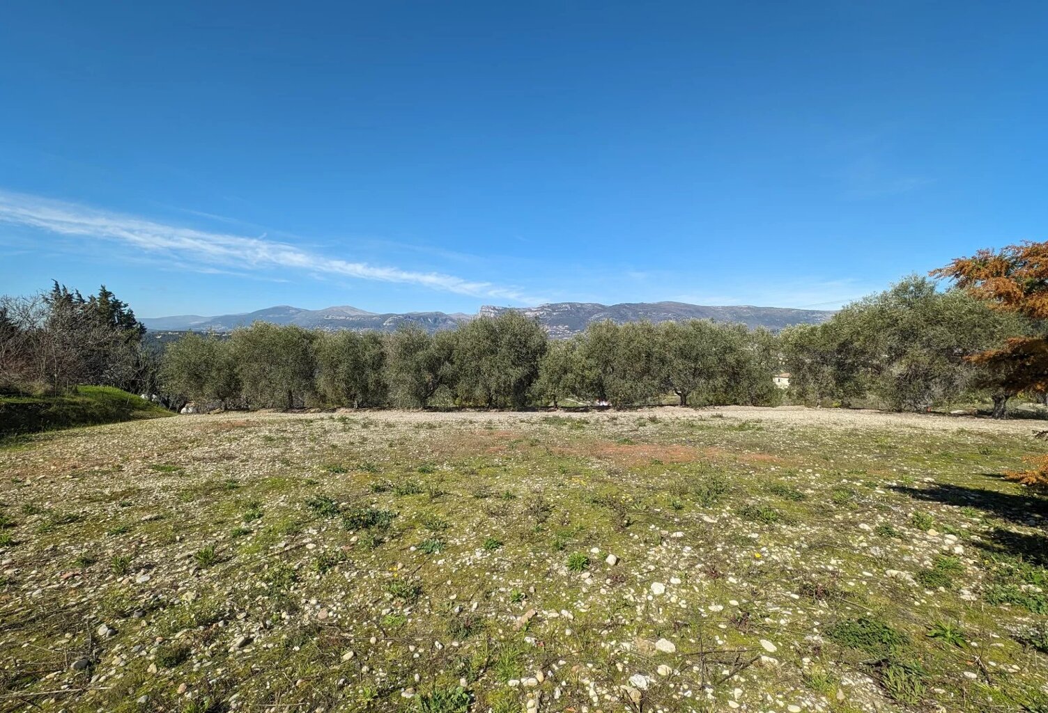 Magnifique Terrain à Nice Ouest, Quartier de Crémat — photo 1