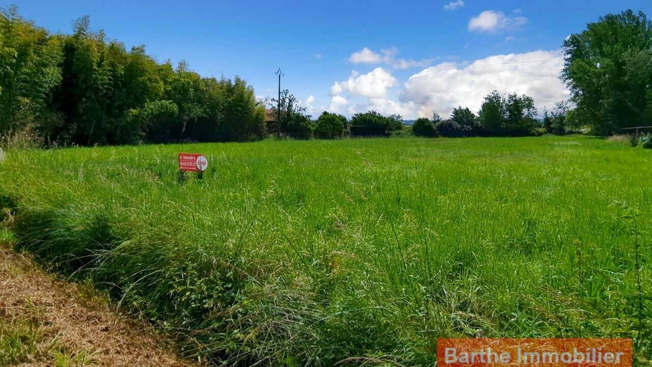 terrain  pièces 2326 m2 à vendre à Gaillac (81600)