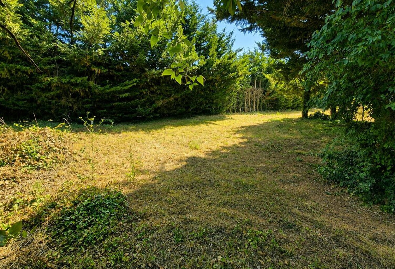 Terrain Chambourcy 585m2 — photo 1