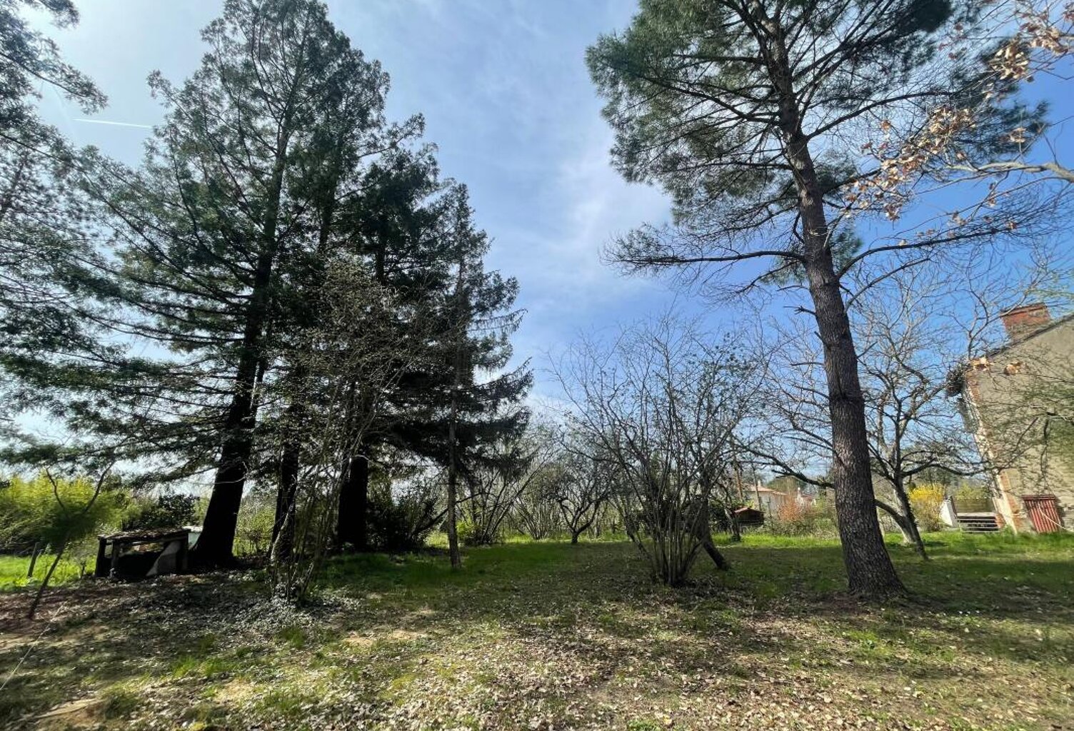 Terrain À Vendre — photo 1