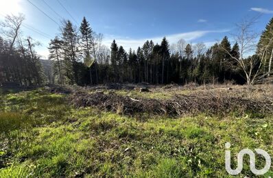 vente terrain 69 500 € à proximité de Saulcy-sur-Meurthe (88580)