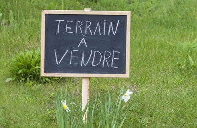 vente terrain 74 000 € à proximité de Saint-Denis-en-Val (45560)