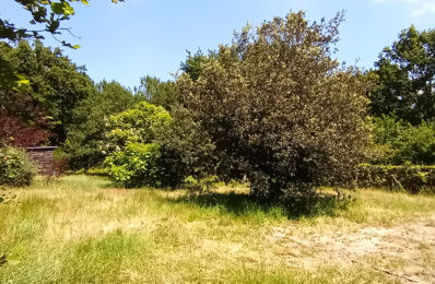 terrain  pièces 1159 m2 à vendre à Lège-Cap-Ferret (33950)