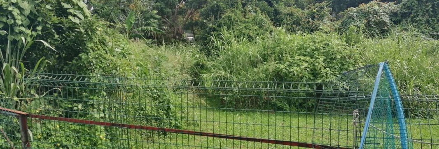 Terrain  931 m² à vendre à Saint-Paul (97435)