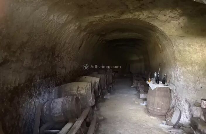 Cave troglodyte au fond d'un terrain constructible — photo 4