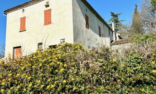 Photo N° 5