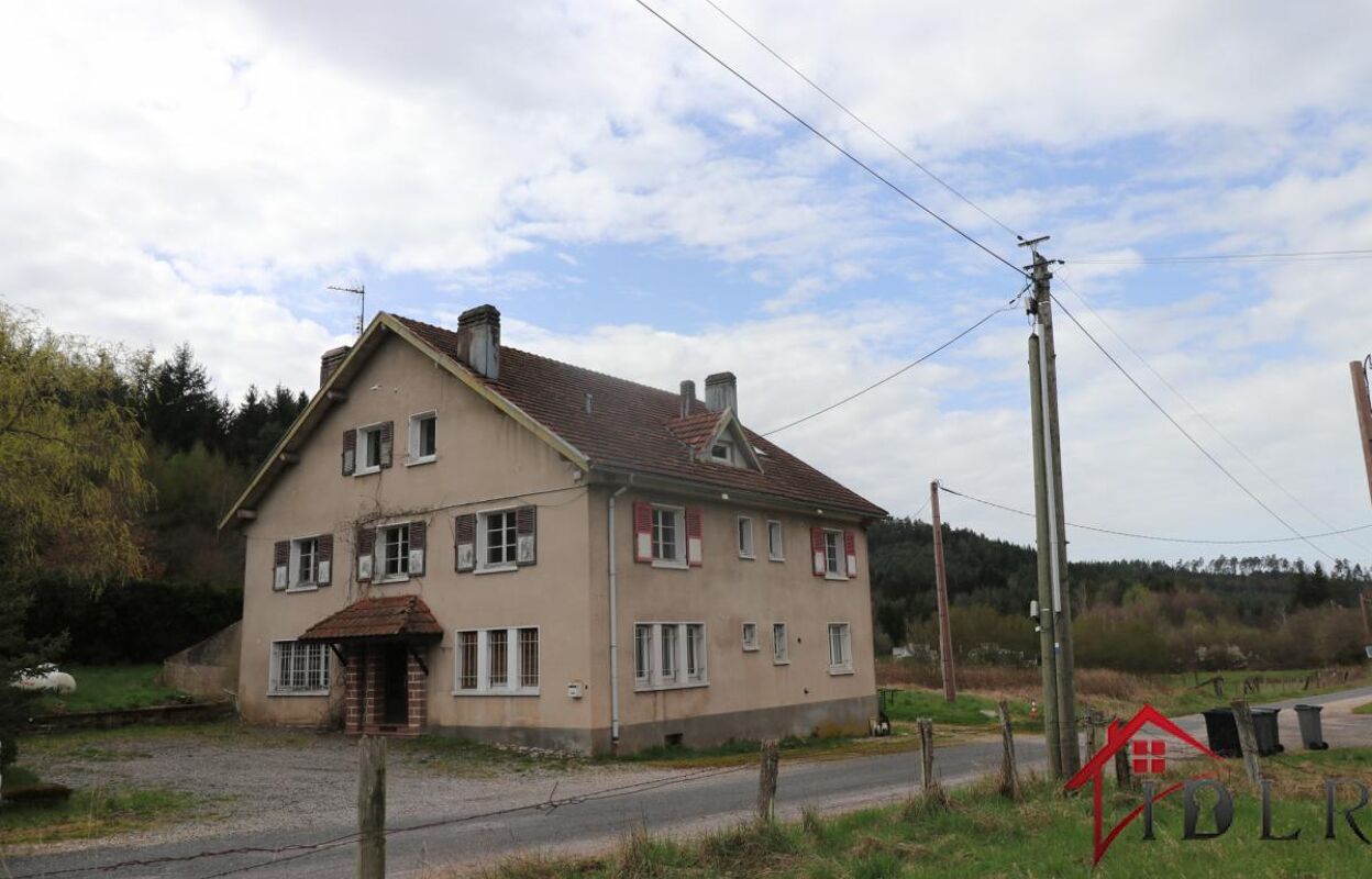 maison 16 pièces 328 m2 à vendre à Bruyères (88600)