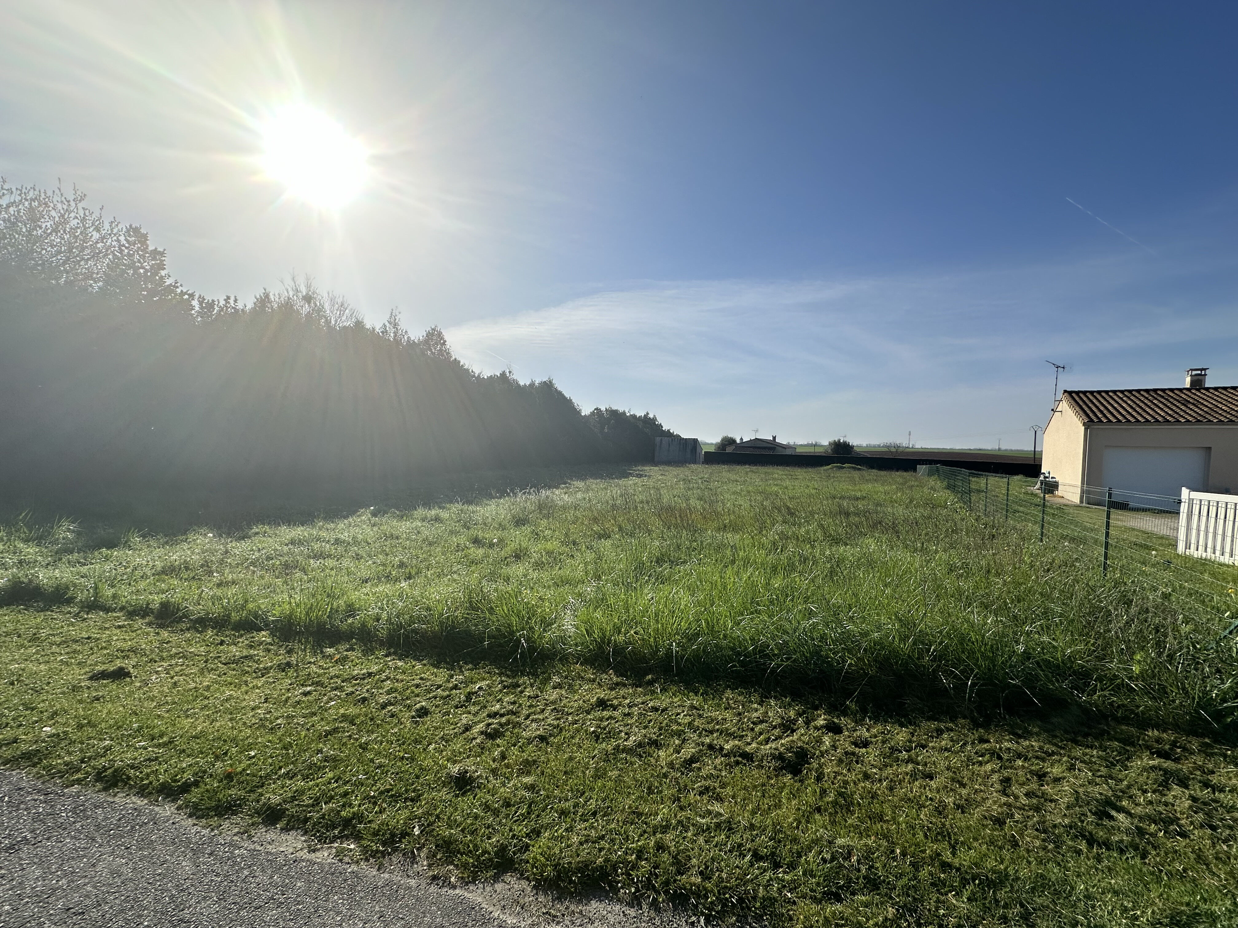 Terrain  à vendre Mosnac 17240