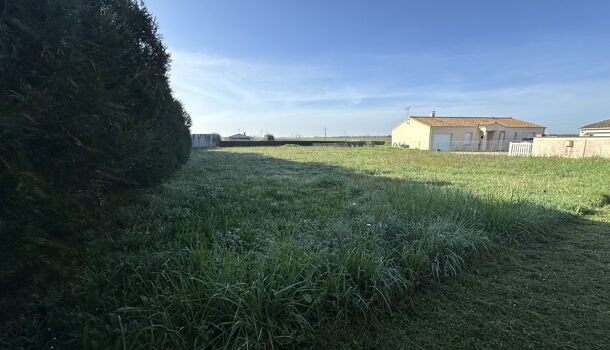 Terrain  à vendre Mosnac 17240