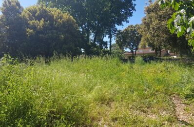 vente terrain 100 000 € à proximité de Ribaute-les-Tavernes (30720)