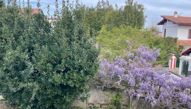 Appartement 2 pièces  à vendre Saint-Jean-de-Luz 64500