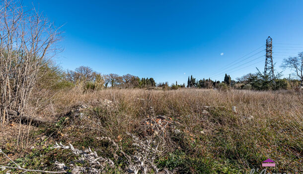 Local d'activit&eacute;s  à vendre Perpignan 66000