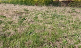 Photo N° 6