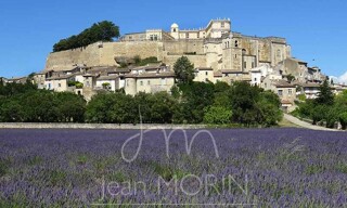 Photo N° 6