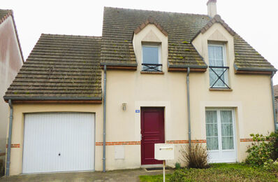 vente maison 248 000 € à proximité de Saint-Jean-de-Braye (45800)