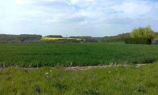 Terrain  746 m² à vendre à Lagery (51170)