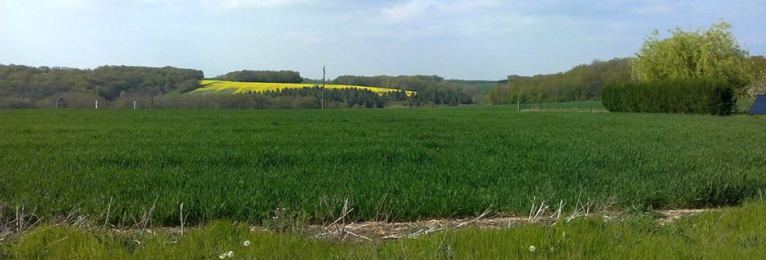 Terrain  746 m² à vendre à Lagery (51170)