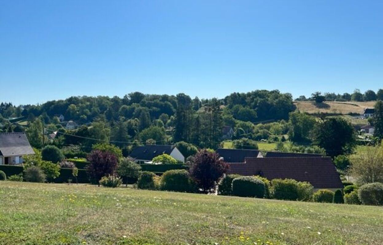 terrain  pièces 1330 m2 à vendre à Saint-Aignan (41110)