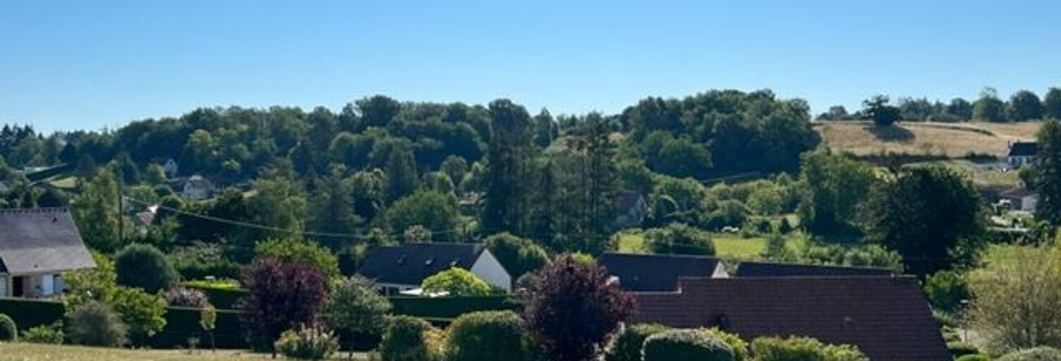 Terrain  1330 m² à vendre à Saint-Aignan (41110)