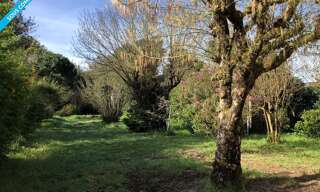 Terrain  1000 m² à vendre à Talais (33590)