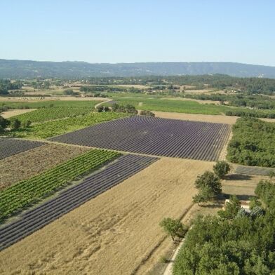 Terrain  250000 €