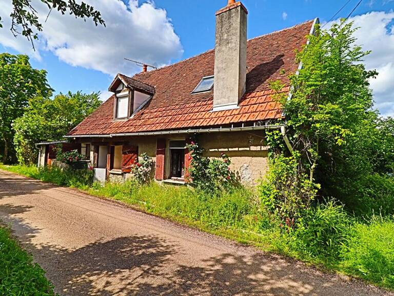 Maison  de campagne à rénover 4 pièces SAVIGNY EN SANCERRE — photo 1