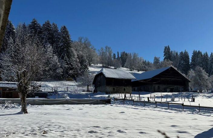 Megève Terrain 597 m2, à vendre  avec son permis viabilisé  vue, calme, ensoleillé. — photo 3