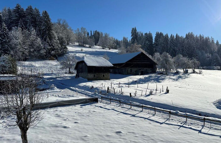 Megève Terrain 597 m2, à vendre  avec son permis viabilisé  vue, calme, ensoleillé. — photo 4