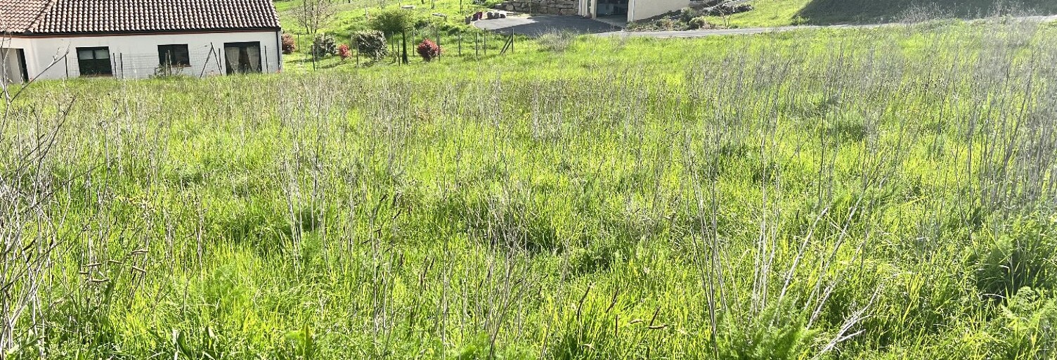 Terrain  1393 m² à vendre à Lamillarié (81120)