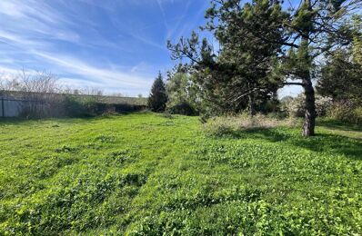 vente terrain 78 000 € à proximité de Matougues (51510)