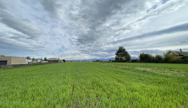 Terrain  à vendre Bordes 65190