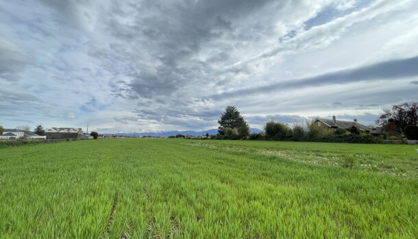 Terrain  à vendre Bordes 65190