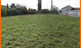 Photo N° 3