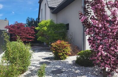 vente maison 379 000 € à proximité de Spechbach-le-Haut (68720)