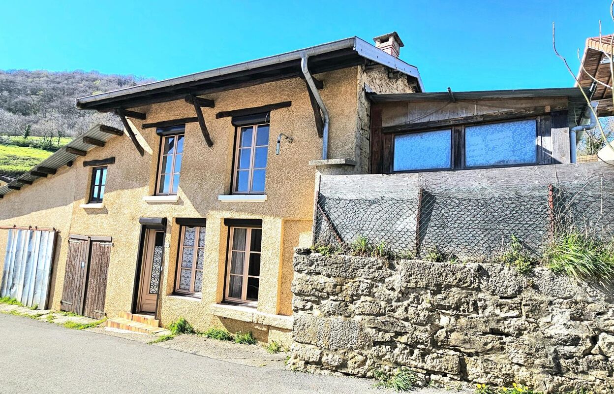 maison 9 pièces 250 m2 à vendre à Nivollet-Montgriffon (01230)