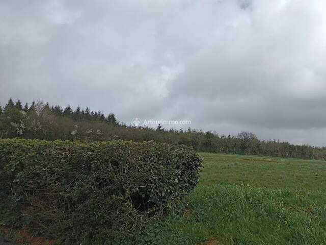 CRENNES SUR FRAUBEE - Terrain Constructible — photo du bien