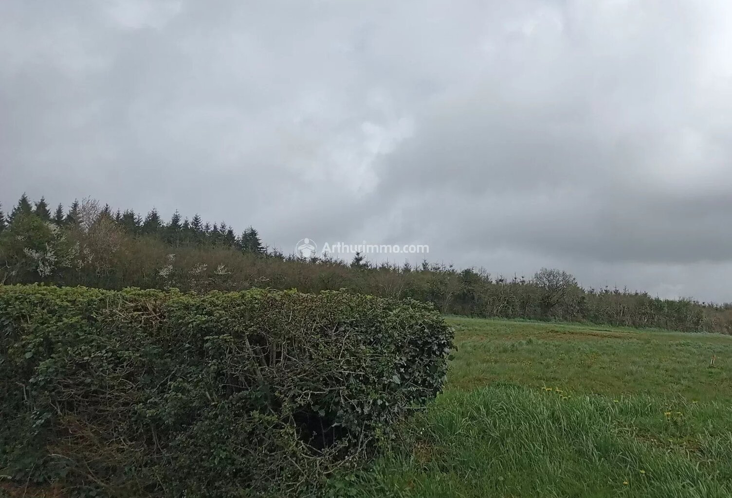 CRENNES SUR FRAUBEE - Terrain Constructible — photo 1