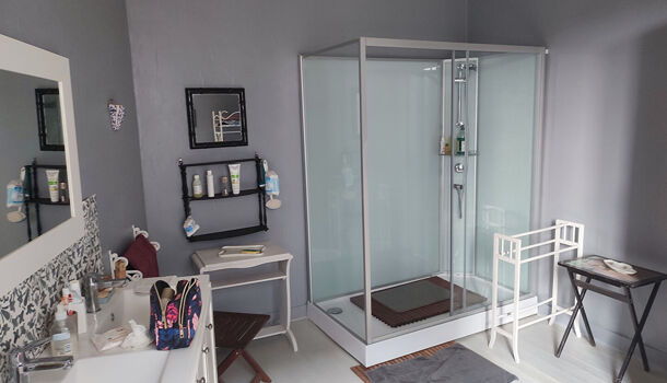 Immeuble  à vendre Mirambeau 17150