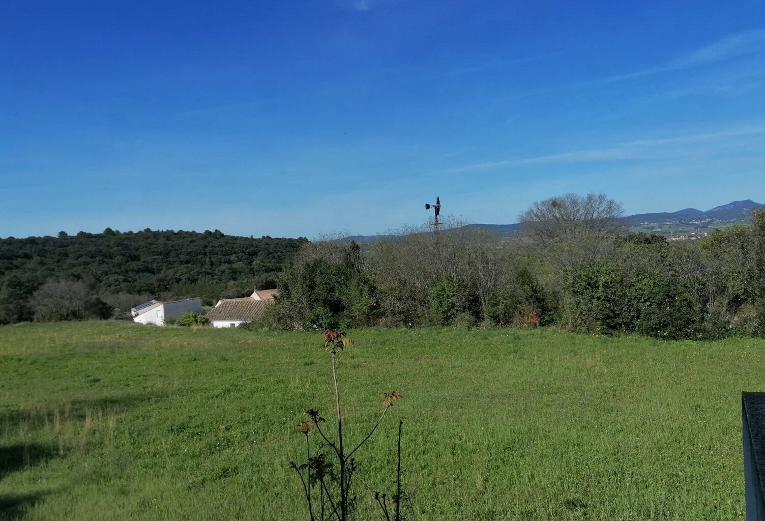 Terrain constructible au Pouget 4100 m2 — photo 1