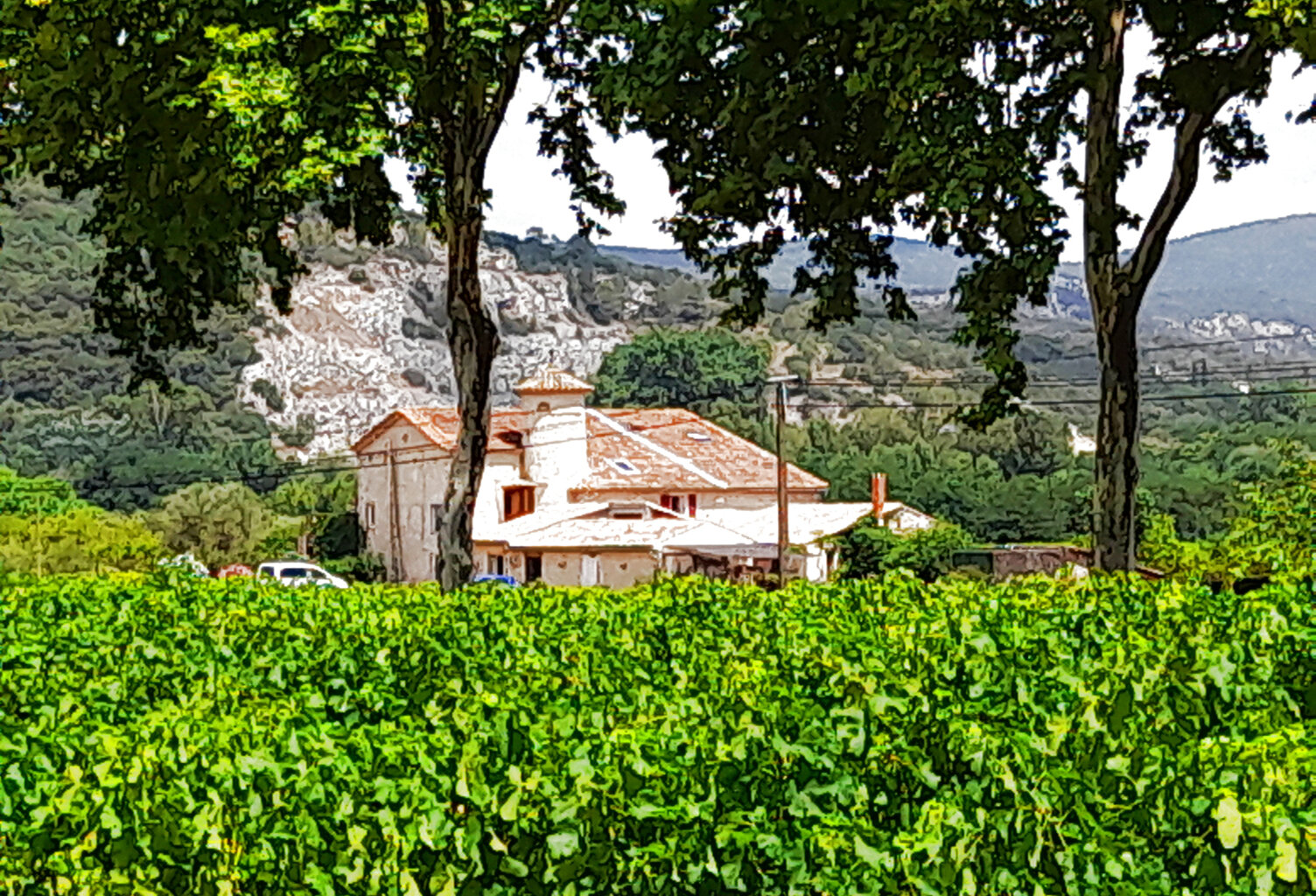  À VENDRE SUPERBE PROPRIETÉ PROCHE ANDUZE — photo 1