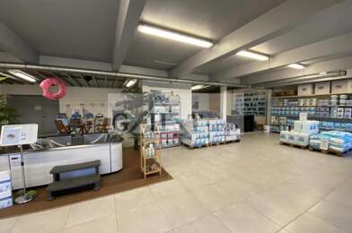 Local industriel  1250000 €