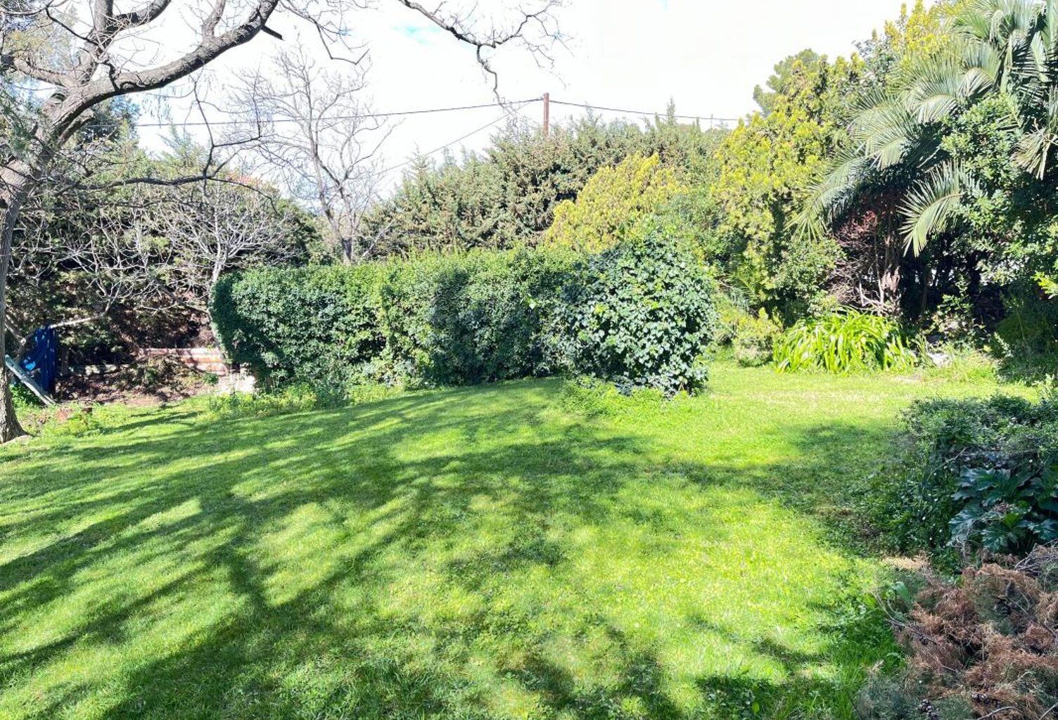 Terrain À Vendre — photo 1
