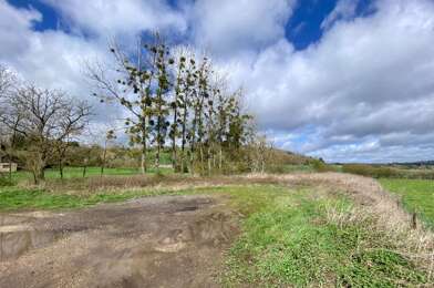 Terrain  55000 €