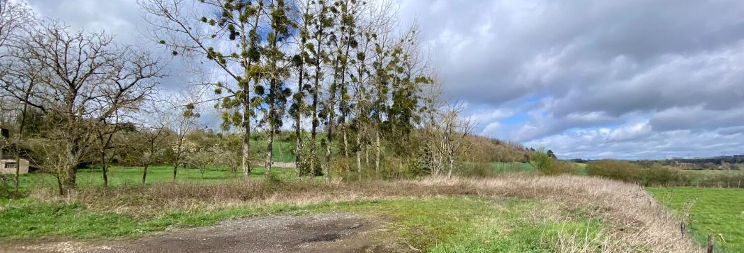 Terrain  1600 m² à vendre à Jevoncourt (54740)