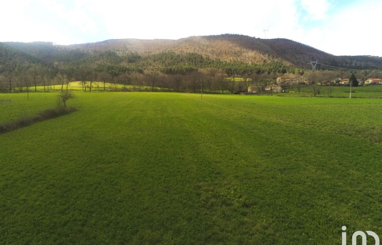 terrain  pièces 10750 m2 à vendre à Beaulieu (43800)